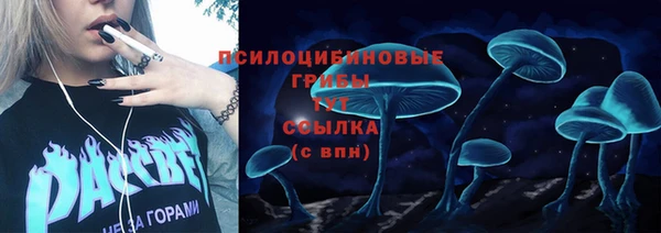 не бодяженный Белокуриха