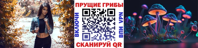 mega рабочий сайт  магазин продажи наркотиков  Цоци-Юрт  Галлюциногенные грибы Psilocybine cubensis 